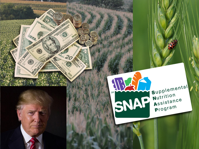 USDA would see major changes in spending for most agencies under the budget and farm bill changes proposed by the Trump administration. (DTN photo illustration) 